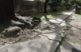 /album/fotogaleria-leyes/bereda-png/